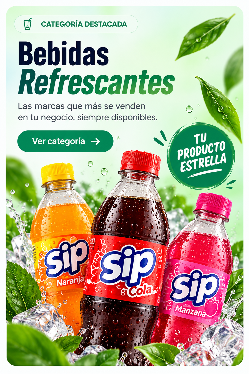Bebidas